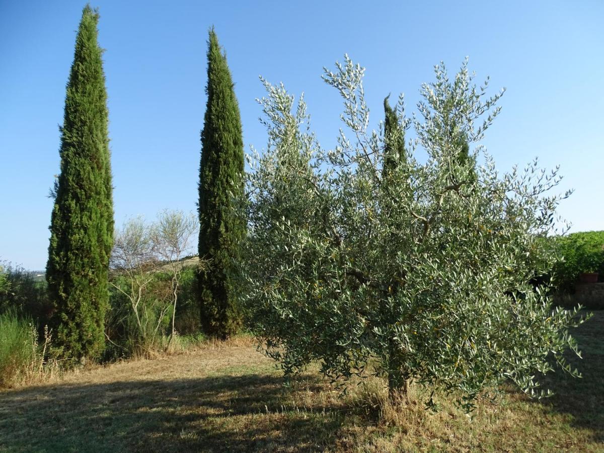 Teruzzi Apartments San Gimignano Exterior foto